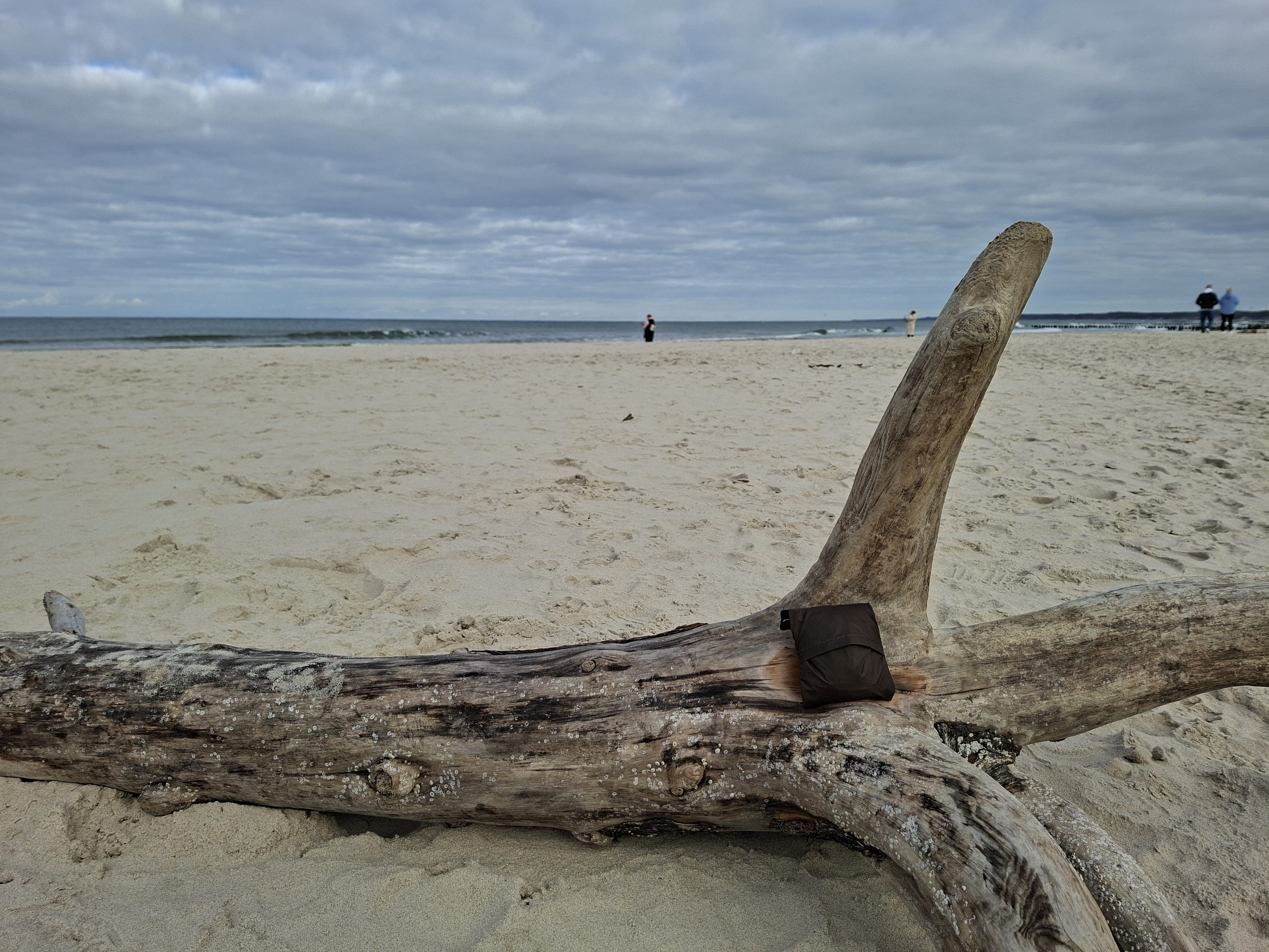 Featured image for Lesovik Musetka